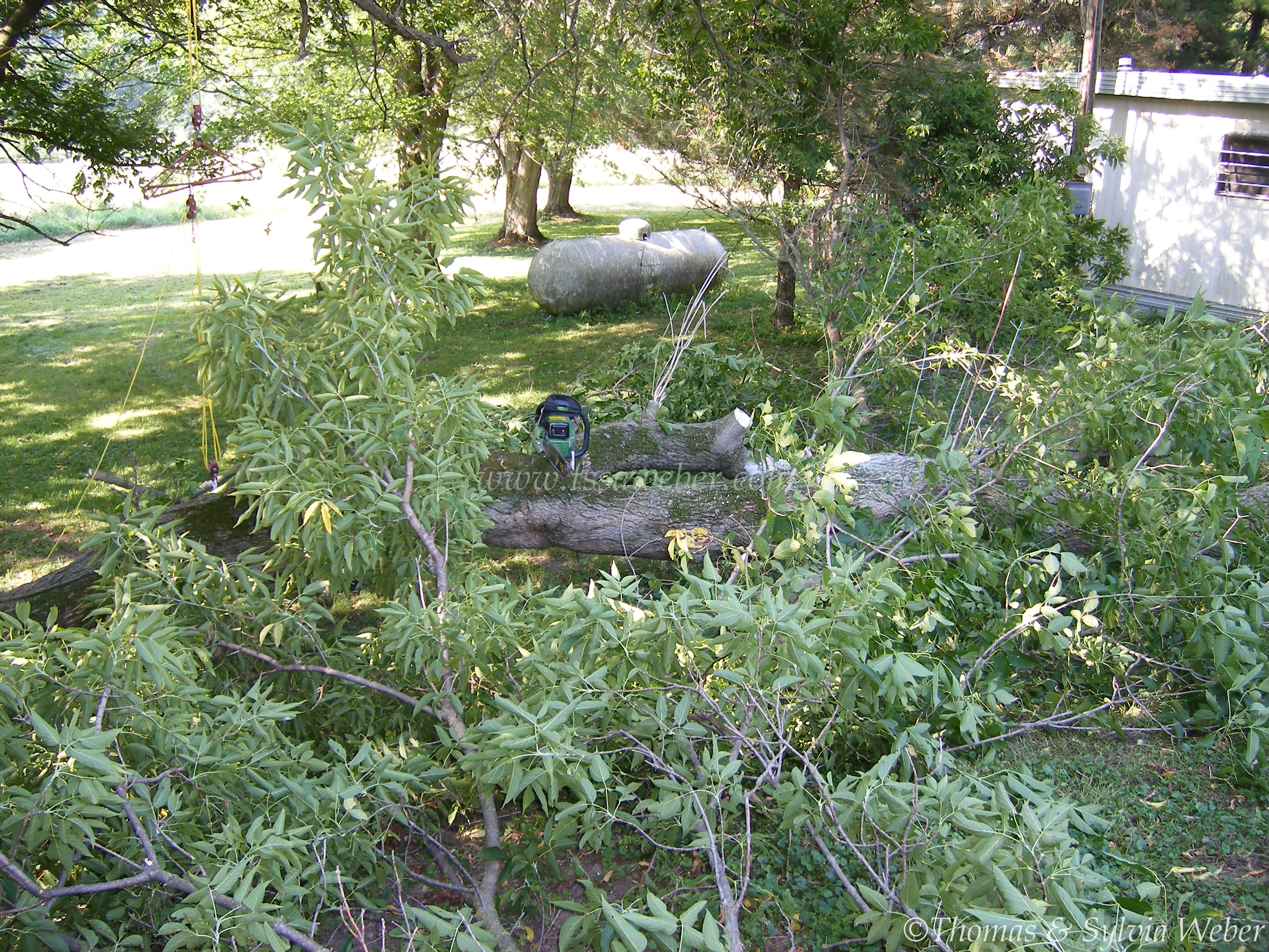 DSCF0942