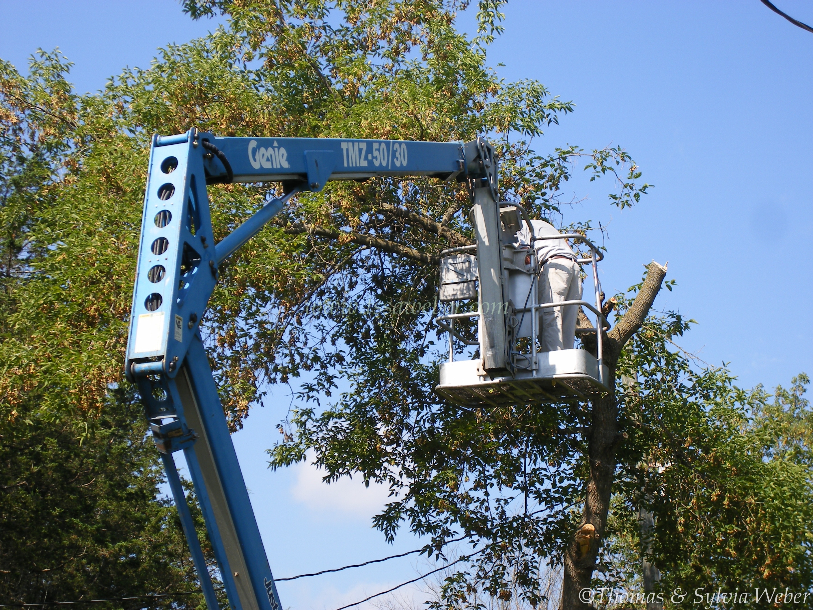 And now to the next tree, it is difficult to navigate the platform with all this electrical cables around!!