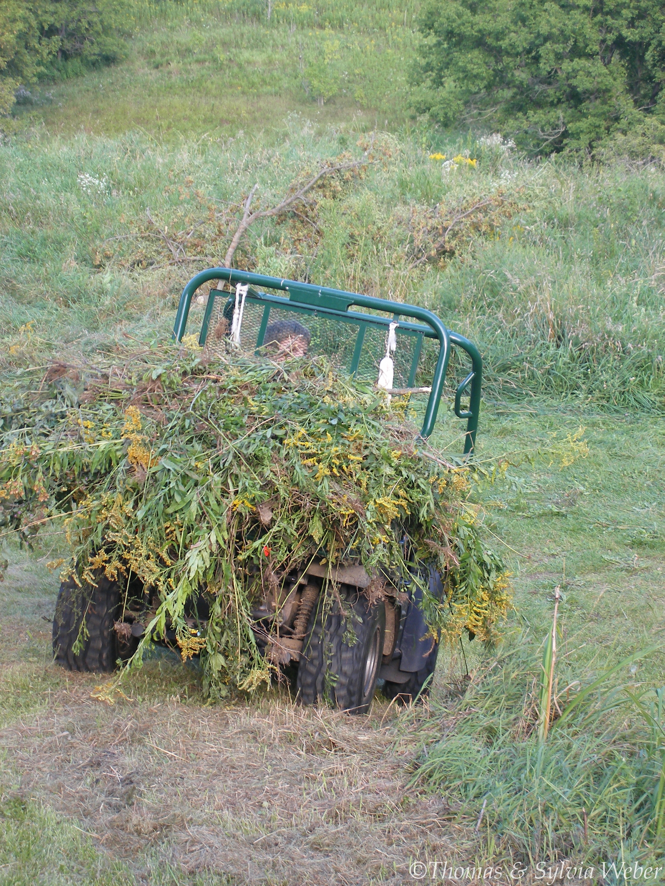 Andreas helps with the Mule